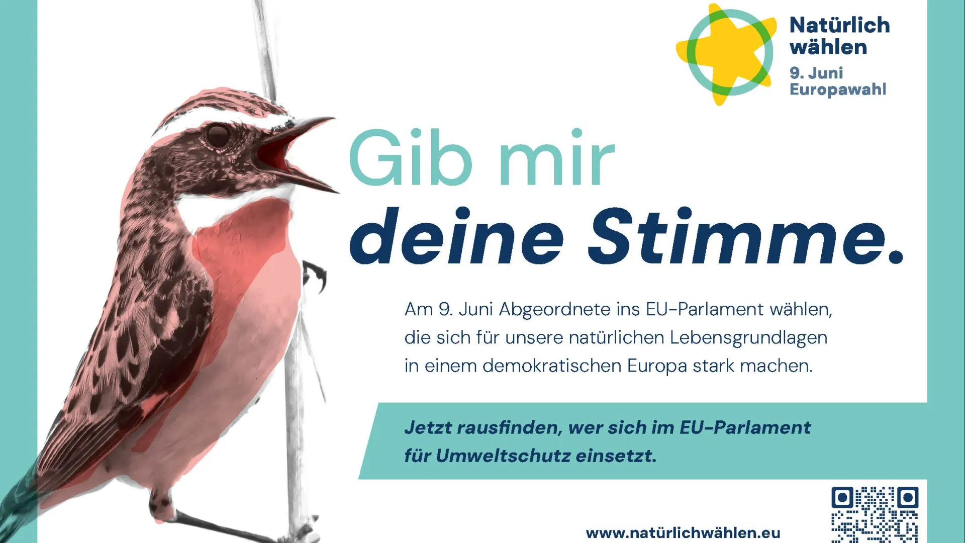 Bild der Printanzeige zur Europawahlkampagne #NatürlichWählenin A 6